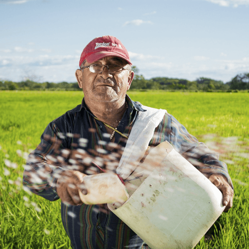 Produtor Rural poderá emitir NFe com CPF a partir de Outubro